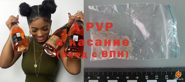 индика Протвино