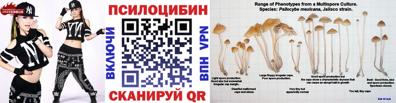 наркотики  Нерехта  сайты даркнета телеграм  Галлюциногенные грибы Cubensis 